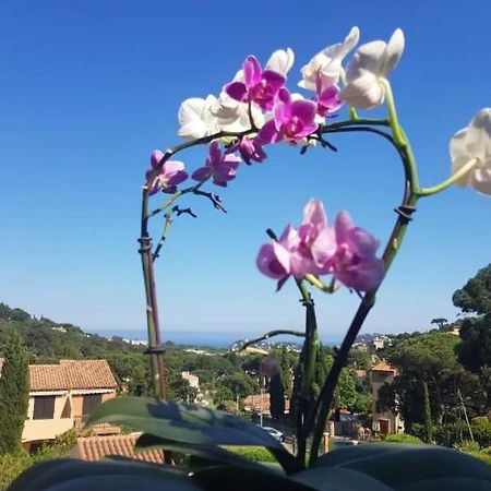 شقة Hameau Du Soleil كافالير سور مير المظهر الخارجي الصورة